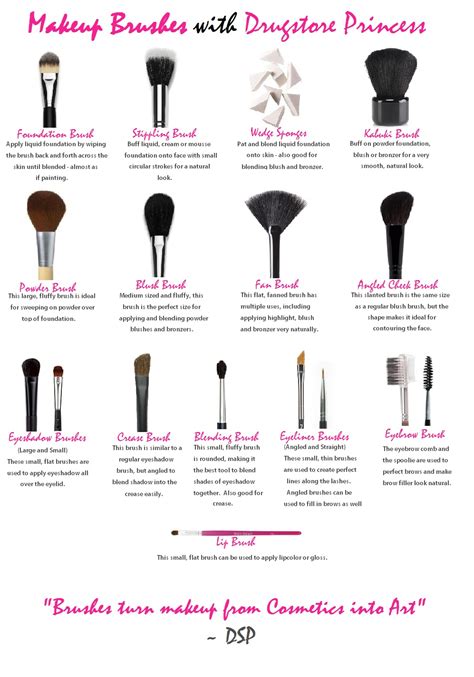 makeup brush use chart.